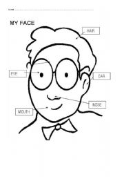 English Worksheet: face