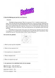 English worksheet: About Elephants