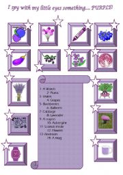 English Worksheet: I spy with my little eyes something ... PURPLE