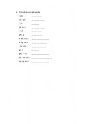 English Worksheet: Animals