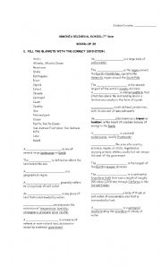 English worksheet: used to