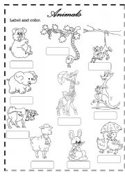 English Worksheet: animals