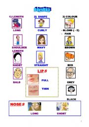 English Worksheet: A PICTIONARY ABOUT FACES AND HAIR DESCRIPTIONS