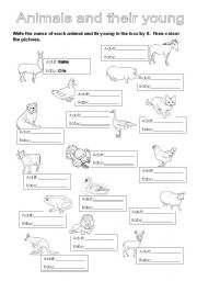 English Worksheet: Animals and their young