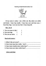 English Worksheet: Reading Comprehension about molly the cat
