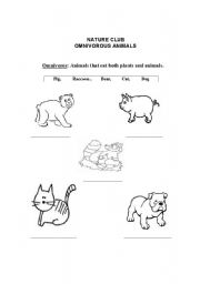 English worksheet: Omnivores Animals