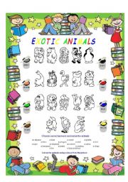 English Worksheet: Exotic animals and colours