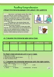 English Worksheet: Reading Comprehension