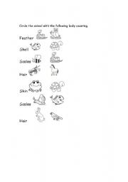 English worksheet: Animal Coverings
