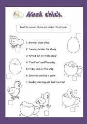 English Worksheet: Week chick