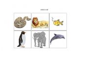 English Worksheet: At the Zoo - Memory game