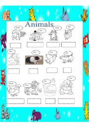 English worksheet: the animals