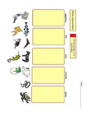 English Worksheet: Animal Classification