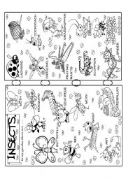 English Worksheet: insects