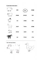 English Worksheet: Farm animals