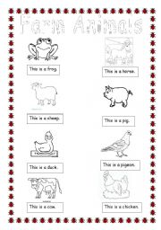 English Worksheet: Farm Animals