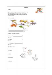 English worksheet: Activities 