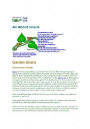 All about snails