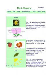 English worksheet: About plants