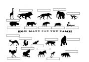 English Worksheet: how many animals can you name?