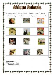English Worksheet: African Animals