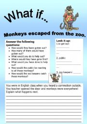 What if Series 5: What if Monkeys escaped from the zoo.