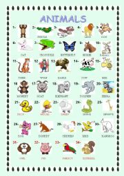 English Worksheet: animals