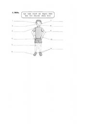 English Worksheet: Parts of body
