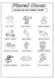 English Worksheet: plural noun