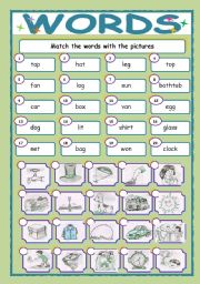 English Worksheet: vocabulary