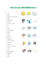 English Worksheet: Whats the weather like?