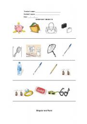 English Worksheet: Everyday Objects - singular/plural