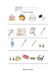 English worksheet: Everyday Objects - singular/plural