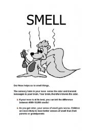 The sense of smell