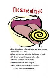 English Worksheet: The sense of taste