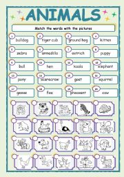 English Worksheet: ANIMALS-2