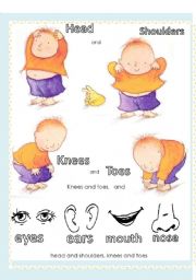 English Worksheet: Head, shoulders knees and toes - Song