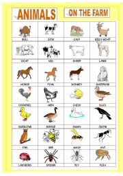 English Worksheet: Animals pictionary: Animals on the farm
