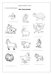 English Worksheet: Animals