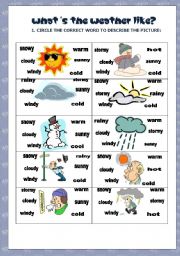 English Worksheet: Whats the weather like?