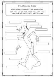 English Worksheet: Pinocchios Body