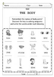 English Worksheet: Body Test