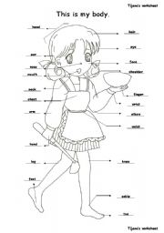 English Worksheet: This is my body.