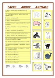 English Worksheet: Vocabulary: Facts about animals