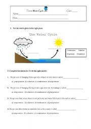 English Worksheet: Water Cycle