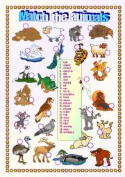 English Worksheet: Animals - matching exercise 2/2  (fully editable + key)