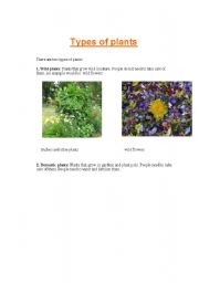 English Worksheet: Lesson plan about plants.I Part 2