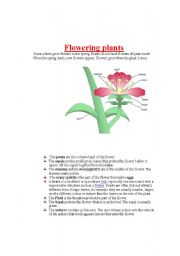 English Worksheet: Parts of a plant. parts of a flower Part 3