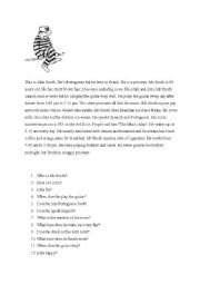 English Worksheet: Reading comprehension