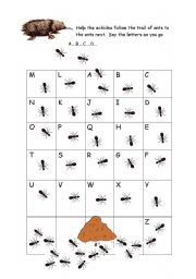 English Worksheet: Echidna (ant eater) alphabet maze.